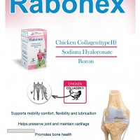 Rabonex