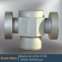 Gate valve-01