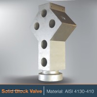SOILD BLOCK valve-01-01-01-01