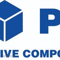 PPS Logo 21.01.12 - Copy