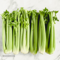 organic-celery-PS-720x720-1