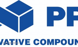 PPS Logo 21.01.12 - Copy